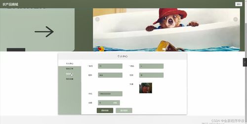 農(nóng)產(chǎn)品商城系統(tǒng) 開題、源碼與論文的計算機畢業(yè)設計全流程